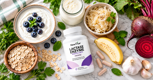 A Beginner’s Guide to Probiotics and Digestive Health