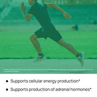 Pantothenic Acid (Vitamin B5) 500 mg
